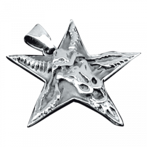 Zilveren hanger ster met ramskop