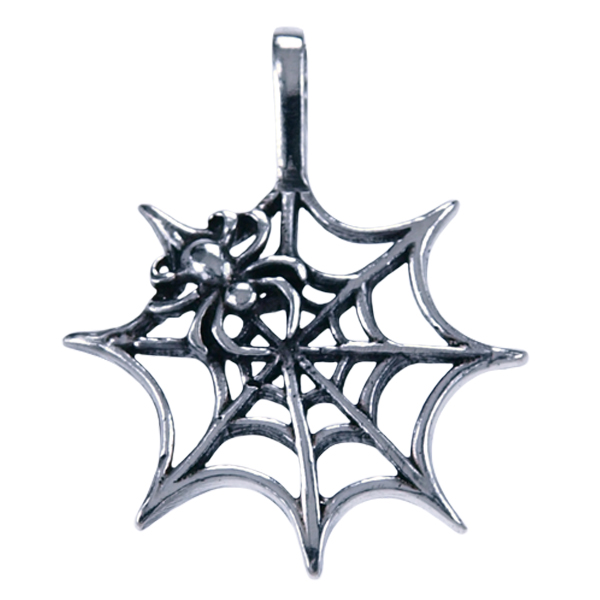 Zilveren hanger spin in web