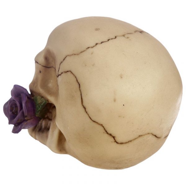 Decoschedel met paarse roos achterkant
