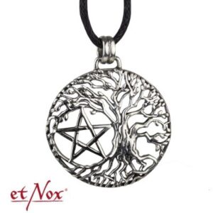 Zilveren hanger levensboom met pentagram
