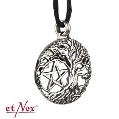 Zilveren hanger levensboom met pentagram